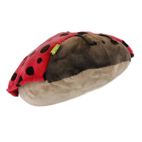 Coccinella cuscino - immagine 3