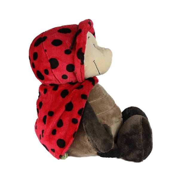 Coccinella - immagine 3