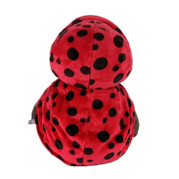 Coccinella - immagine 4