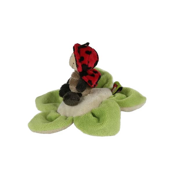 Coccinella sul fiore - immagine 2